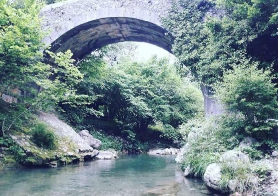 Gite Du Prinas Greolieres Exterior photo